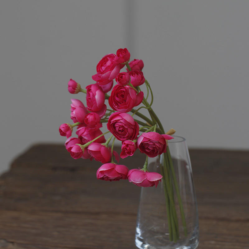 กุหลาบต้นแมดเด