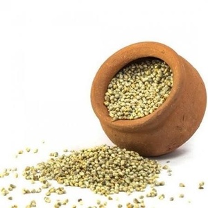 Millet perlé (Bajra) pour la consommation humaine, approvisionnement en gros, achat direct d'usine - Product Image 1