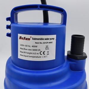 BY1CP-C <span class=keywords><strong>pompe</strong></span> à <span class=keywords><strong>eau</strong></span> propre submersible 400W adaptée au jardinage, au drainage, au petit système d'irrigation, à la vidange de la <span class=keywords><strong>piscine</strong></span> - Product Image 2