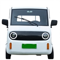Camionnette électrique compacte à quatre roues motrices, moteur brushless haute performance 1000W, conduite à gauche, autonomie 401-500km, usage intensif, vente en gros