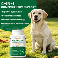 Comprimés à croquer probiotiques pour chiens, marque privée OEM, 10 souches, 20 milliards d'UFC, saveur bœuf, pour la digestion et la santé intestinale des animaux de compagnie