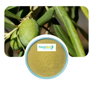 FocusHerb USA Warehouse Wholesale Extrait de feuille d'olivier en poudre d'oléuropéine 20% HPLC - Product Image 2