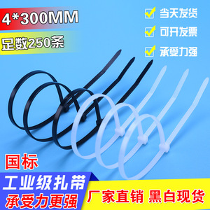 สายรัดเคเบิลไนลอนล็อคอัตโนมัติ Litai ขนาด 5x300 มม. รุ่น 5 สำหรับงานอุตสาหกรรม ใช้รัดสายไฟ ทนไฟ 94V 2 - Product Image 3