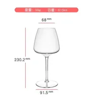 Design moderne, plastique écologique de qualité alimentaire pour le champagne et le verre à vin rouge pour les fêtes et les cocktails