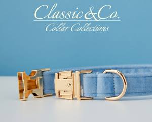 Collier et laisse pour chien personnalisés avec nom gravé, boucle en métal bleu ciel, clochette et nœud, livraison gratuite - Product Image 5