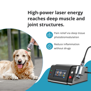Perangkat Terapi Laser Kelas 4 Cerdas 980nm 810nm HLT untuk Pengobatan Nyeri pada Hewan, Cedera, dan Peradangan - Product Image 2