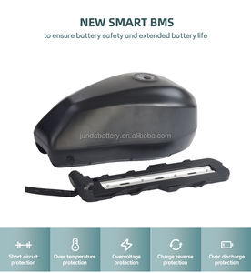 Batterie au lithium 48V/52V/60V/72V 20Ah pour vélo électrique à pneus larges, batterie de vélo électrique, pack de batterie, directement de l'usine - Product Image 2