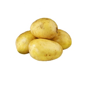 Gran venta <span class=keywords><strong>al</strong></span> <span class=keywords><strong>por</strong></span> <span class=keywords><strong>mayor</strong></span> exportador profesional de <span class=keywords><strong>patatas</strong></span> a granel de alta calidad con Global Gap y Haccp y precio barato listo para enviar - Product Image 1