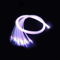 Kit de Fibre Optique LED RGBW 12W Étanche IP67 pour Extérieur, Fibres Mixtes 0.75mm 1.0mm 1.5mm, Contrôle par APP, AC220V