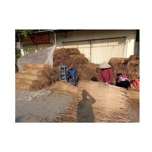 Venta caliente 99GD techo de hierba de paja para patio trasero al aire libre-estera de hierba de mar natural hoja de techo de paja precio más barato Vietnam - Product Image 3