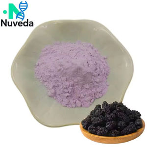 Пищевой порошок из сока черной малины, прямые поставки с завода, чистый травяной экстракт, упаковка в мешках, бутылках, бочках, минимальный заказ 1 кг - Product Image 2