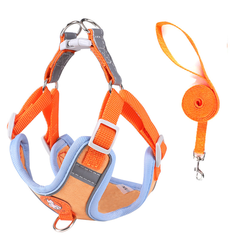 1Harness+1 leash