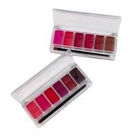 Palette de maquillage pour les lèvres mate en gros, longue tenue, hautement pigmentée, personnalisable, imperméable, pour le visage et les yeux