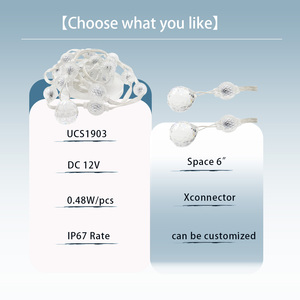 2 LED IP65 Décoration <span class=keywords><strong>de</strong></span> Noël en gros <span class=keywords><strong>12</strong></span> <span class=keywords><strong>volts</strong></span> Lumière LED pixel pour chambre à coucher Jardin Noël Mariage Fête Décoration - Product Image 2