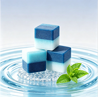 Bloc Nettoyant Automatique pour Cuvette de Toilettes OEM, Bloc de Nettoyage pour Bordure de Toilettes, Cubes Nettoyants Bleus pour Toilettes, Parfum Frais, Nettoyant pour Salle de Bain
