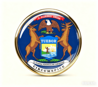 GREPAS GIFTS Épinglette drapeau du Michigan ronde de 1 pouce, épinglette patriotique mondiale pour chapeau