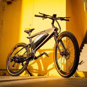 Eahora Vélo électrique hybride 35 km/h, 48V, 20Ah, 26x1.95, longue portée, vélo de ville et de montagne avec batterie au lithium - Product Image 2