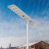 Lampadaire solaire tout-en-un 80W Chargement double face 12800Lm LED Contrôleur MPPT en aluminium moulé sous pression IP67 pour l'éclairage routier