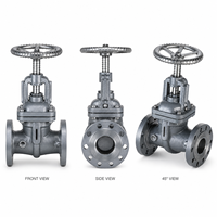 Katup Gerbang Manual Berflens LUOKEFM Z41W CF8 PN40 untuk Pipa Minyak & Gas Dudukan Logam -20~425 Garansi 1 Tahun
