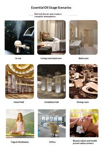 Huiles parfumées de qualité supérieure pour diffuseur |   Huiles parfumées d'aromathérapie pour la fabrication de bougies et de savons, le massage et les soins de la peau - Product Image 2