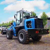 Mini Caricatore Approvato CE da 5000kg, Nuovo Mini Caricatore 4WD per Uso Agricolo, Caricatore Frontale in Vendita