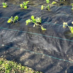 النسيج الصناعي الأخضر الزراعي المستقر والأشعة فوق البنفسجية المقاوم للشيخوخة لفة مواد التكسية الأرضية للتحكم في الأعشاب الضارة - Product Image 5