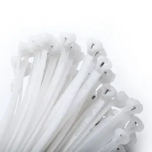 Fscat metal pawl nylon66 cable zip tie Manufacturer High Quality plastic zip wire ties