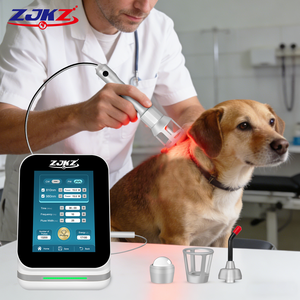 Équipement de thérapie laser froid de classe 4 pour le soulagement de la douleur et le traitement de l'arthrite chez les chevaux et les chiens, avec lumière rouge 1064nm 1470nm 980nm pour clinique - Product Image 1