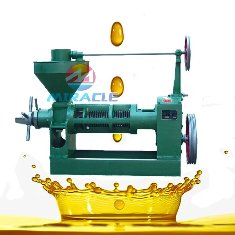 Kommerzielle automatische Sojabohnen Mango Schwarzkümmel öl machen Extraktion Erdnussöl Expeller Maschine Preis