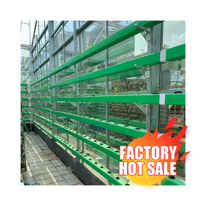 Vendeur d'usine en Chine, système hydroponique <span class=keywords><strong>Autopot</strong></span> - Product Image 4
