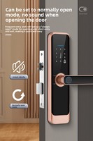 Serrure de porte intelligente à empreinte digitale haute sécurité pour hôtel et maison, avec carte mémoire, pour porte en acier