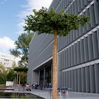 Système Louvre pour Façade de Bâtiment Extérieur, Persienne Solaire en Aluminium
