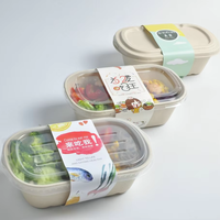 SenAng05 Vente directe usine Boîte à lunch réutilisable en pulpe de canne à sucre, 800 ml, avec plateau peu profond à 3 compartiments et conteneur à deux cellules