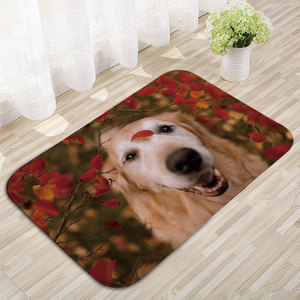 Tapis de sol rectangulaire imprimé chat, antidérapant, absorbant, pour chambre à coucher, salle de bain, décoration de la maison - Product Image 3