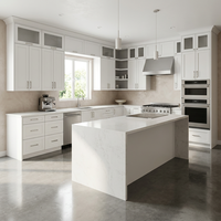 Meuble sous évier modulaire personnalisé en acier inoxydable avec panneau de cuisine au design moderne, charnières battantes et charnières à fermeture amortie