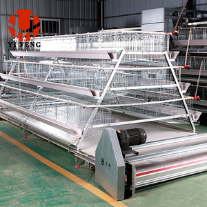 Jaulas automáticas para <span class=keywords><strong>postura</strong></span> <span class=keywords><strong>de</strong></span> pollo, capa para pollitos, jaula para pollos, tipo A, capas automáticas para pollos - Product Image 1