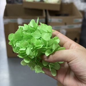 <span class=keywords><strong>Foglie</strong></span> di rami di eucalipto Bouquet foglia pianta verde per la festa nuziale decorazione della tavola floreale - Product Image 2