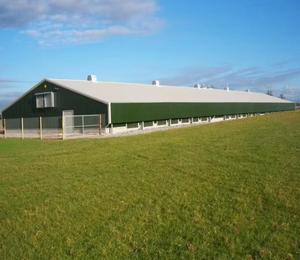 <span class=keywords><strong>Abri</strong></span> pour moutons, vaches et poulets en structure acier préfabriquée soudée, économique et durable, bâtiment agricole entièrement fermé pour l'élevage de chèvres et de bétail - Product Image 2