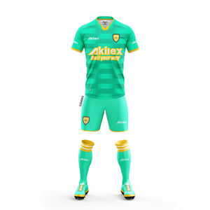 <span class=keywords><strong>2023</strong></span> Akilex Sporty Teamwear 100 Haute Qualité Polyester SoccerWear Professionnel Conception Personnalisée Sublimation Hommes Football T-shirts - Product Image 1