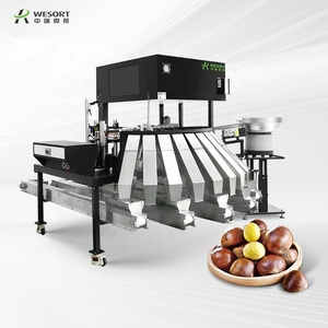 WESORT Automatische Farb sortiermaschine 500/1000Kg 1000Kg/Day Line für die Verarbeitung von Sesam kastanie Haselnuss Walnuss Erdnuss nuss - Product Image 1