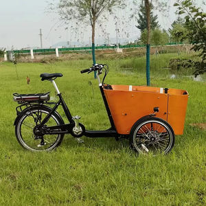 Holland Bakfiets, vélo cargo électrique à 3 roues, moto/tricycle à pédales avec <span class=keywords><strong>porte</strong></span> latérale, <span class=keywords><strong>meilleur</strong></span> prix CE - Product Image 6