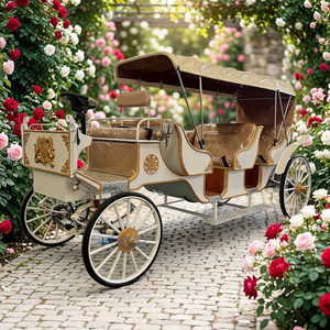 Chariot de tourisme de luxe Victoria électrique/à chevaux, capacité de 8 personnes, personnalisable pour des excursions confortables - Product Image 1