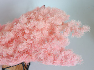 Hecho a mano europeo DIY Material conservado flor fresca pompón espárrago helecho <span class=keywords><strong>Ming</strong></span> helecho PARA EL Día de la madre y regalos del Día de San Valentín - Product Image 5