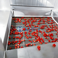 IQF Fluidized Bed Tunnelvriezer voor frieten, groenten, fruit en zeevruchten