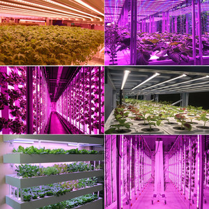 Liweida-Luz <span class=keywords><strong>led</strong></span> roja para crecimiento de plantas de interior, lámpara uv ir de 400nm, 660nm, 730nm, barra <span class=keywords><strong>led</strong></span> cultivo para invernadero agrícola - Product Image 6