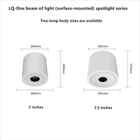 Spot LED encastré moderne en aluminium pour intérieur, montage en surface, anti-éblouissement, CRI98, 3-10W, AC220V (10%), éclairage de plafond