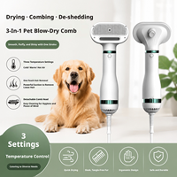 Sèche-cheveux et brosse 2-en-1 pour animaux de compagnie (chats et chiens) 300W, faible bruit, peigne de toilettage avec double flux d'air et tête de brosse lissante détachable