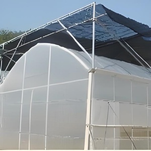 Hot Selling Single Layer Landwirtschaft liches Gewächshaus Multi-Span PE Kunststoff Tertile Gewächshaus für Tomaten Obst/Gemüse Pflanzen - Product Image 4