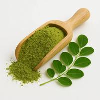 Poudre de feuilles de Moringa Oleifera de haute qualité pour la formulation d'aliments et de boissons, ingrédient végétal pour smoothies et mélanges à base de plantes