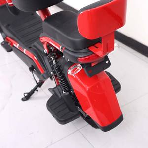 Bicicletta Elettrica da Città da Donna 14 Pollici in Acciaio, 48V 12Ah, 350W con Display LCD - Offerta di Fabbrica Economica - Product Image 5